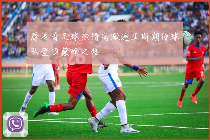 摩洛哥足球热情高涨迪亚斯期待球队登顶巅峰之路