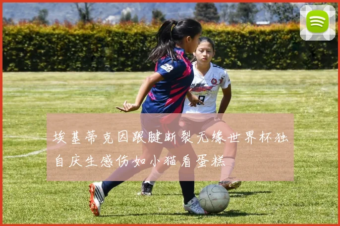 埃基蒂克因跟腱断裂无缘世界杯独自庆生感伤如小猫看蛋糕
